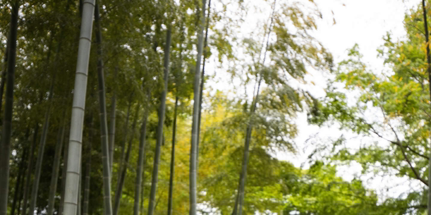 Tokyo: Lawatan Foto Perkahwinan dengan 3 Lokasi & Penggayaan Profesional